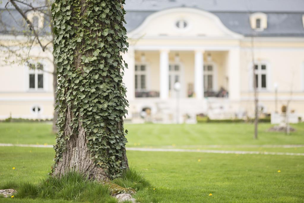 Amade Chateau Vrakúň エクステリア 写真