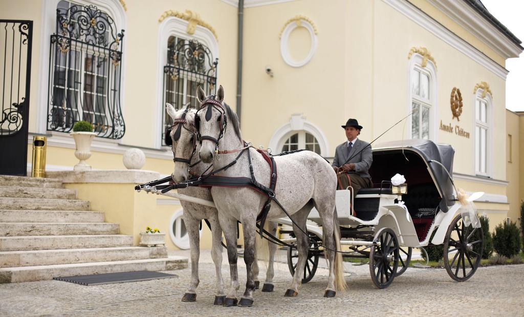 Amade Chateau Vrakúň エクステリア 写真
