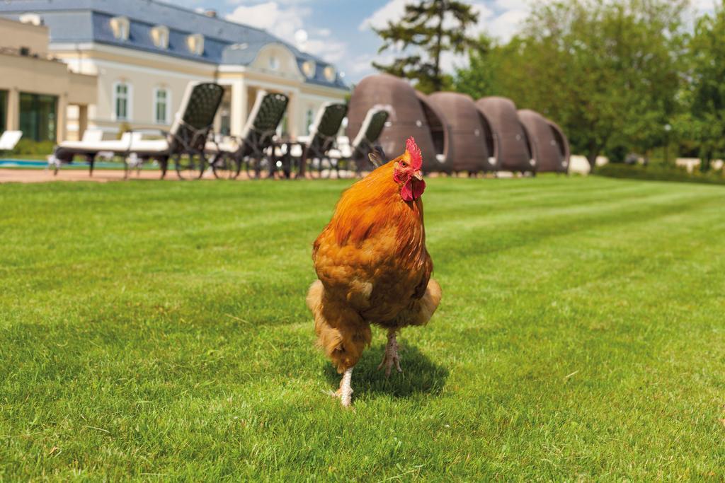 Amade Chateau Vrakúň エクステリア 写真